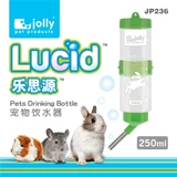 Jolly Zuli Hammel Rabbit Totoro Totoro голландские свиные домашние животные ежа ежа пить