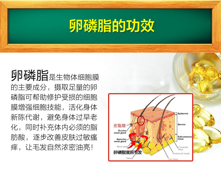 Bột mèo lùn mèo lông vàng phòng ngừa bệnh da theo mùa tẩy lông làm đẹp lông đen mũi thú cưng sữa cho mèo mới đẻ