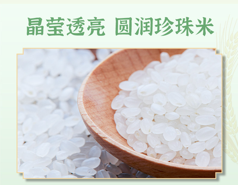 安享好物 安享B级粳米-润香粮品寒地鲜米 国标