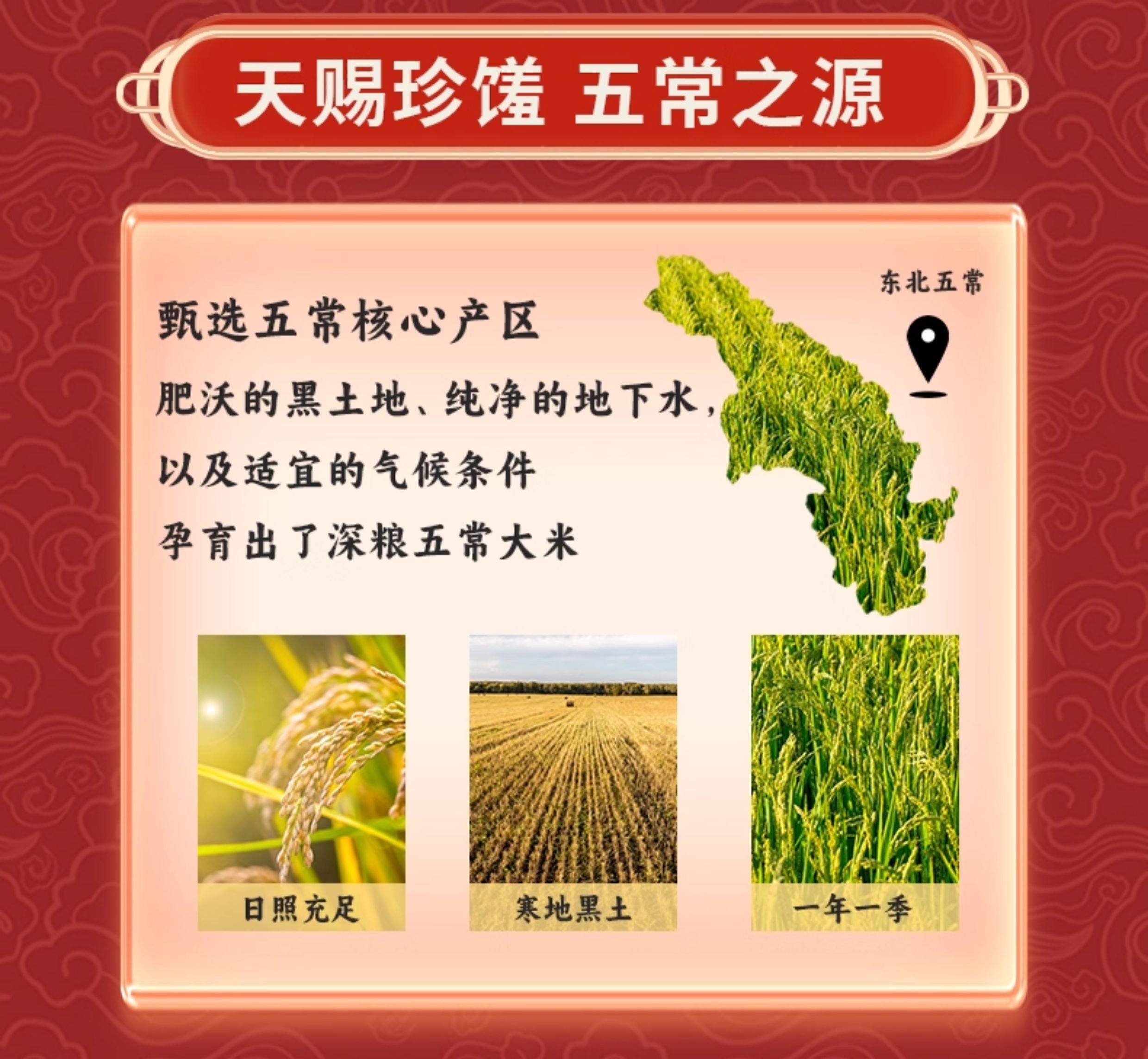 安享好物 安享A级粳米-润香粮品味稻珍五常大米 国标