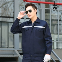 Тибетский синий рефлексив