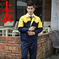 Тибетский синий и желтый плечо