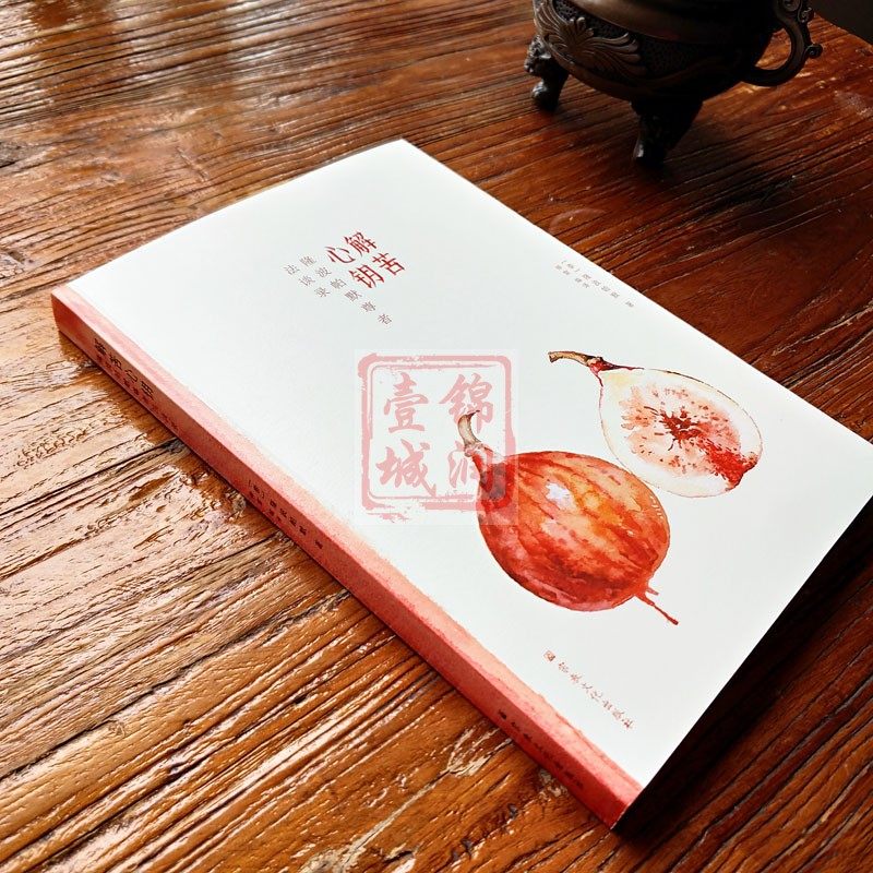 全新正版《解苦心钥:隆波帕默尊者法谈录》:16篇法谈,开启心灵之旅!-佛教-淘宝百科网