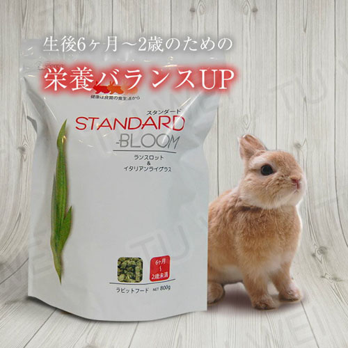 Earthy little pet spot Japan Wooly rabbit food Flower series Low calcium anti-inflammatory 6 months-2 years old Rabbit food 800g