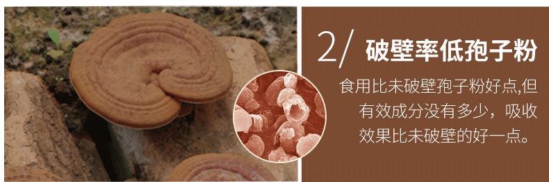 轩庆 破壁灵芝孢子粉 1g*30袋 增强免疫力 图12