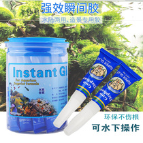 Water grass Moss glue fish tank can be used underwater sticky Wood rhododendron Moss environmental protection non-toxic aquarium instant glue