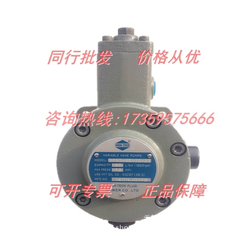 SUNNY Hytekene meshing gear pump HG1-25 40 50 63-01R-VPC injection molding machine servo oil pump