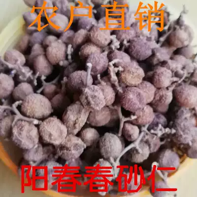 Guangdong Yangjiang Yangchun specialty spring sand kernels Authentic origin farmers dried fruits soup and gastric therapy spring sand kernels