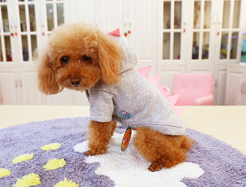 PETCIRCLE quần áo thú cưng Bomei chó nhỏ mùa thu quần áo chó dễ thương loạt trang phục khủng long - Quần áo & phụ kiện thú cưng quần áo thú cưng