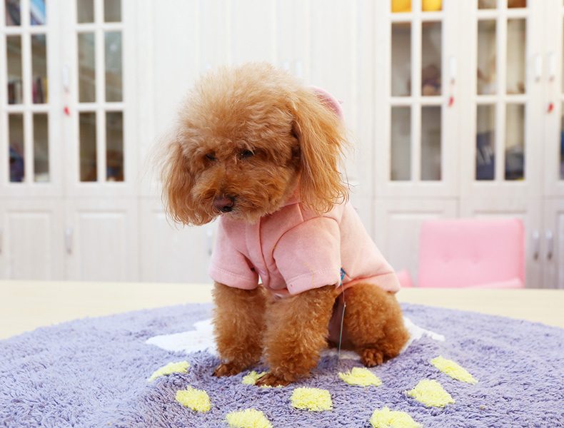 PETCIRCLE quần áo thú cưng Bomei chó nhỏ mùa thu quần áo chó dễ thương loạt trang phục khủng long - Quần áo & phụ kiện thú cưng quần áo thú cưng
