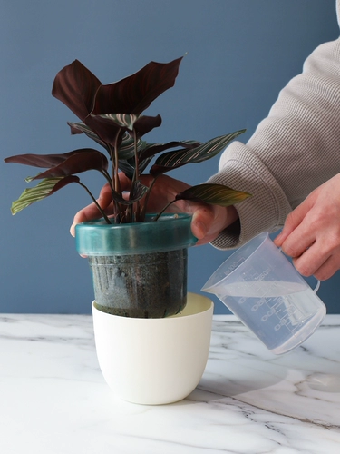 Сочный белый утолщенный полимерный пластиковый ленивый самовсасывающий горшок, автоматический водопоглощающий горшок, горшок для растений в горшке, маленький цветочный горшок