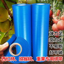 Tomato special strapping machine tape Tomato heavy weight resistant PE strap 50 m 30 m