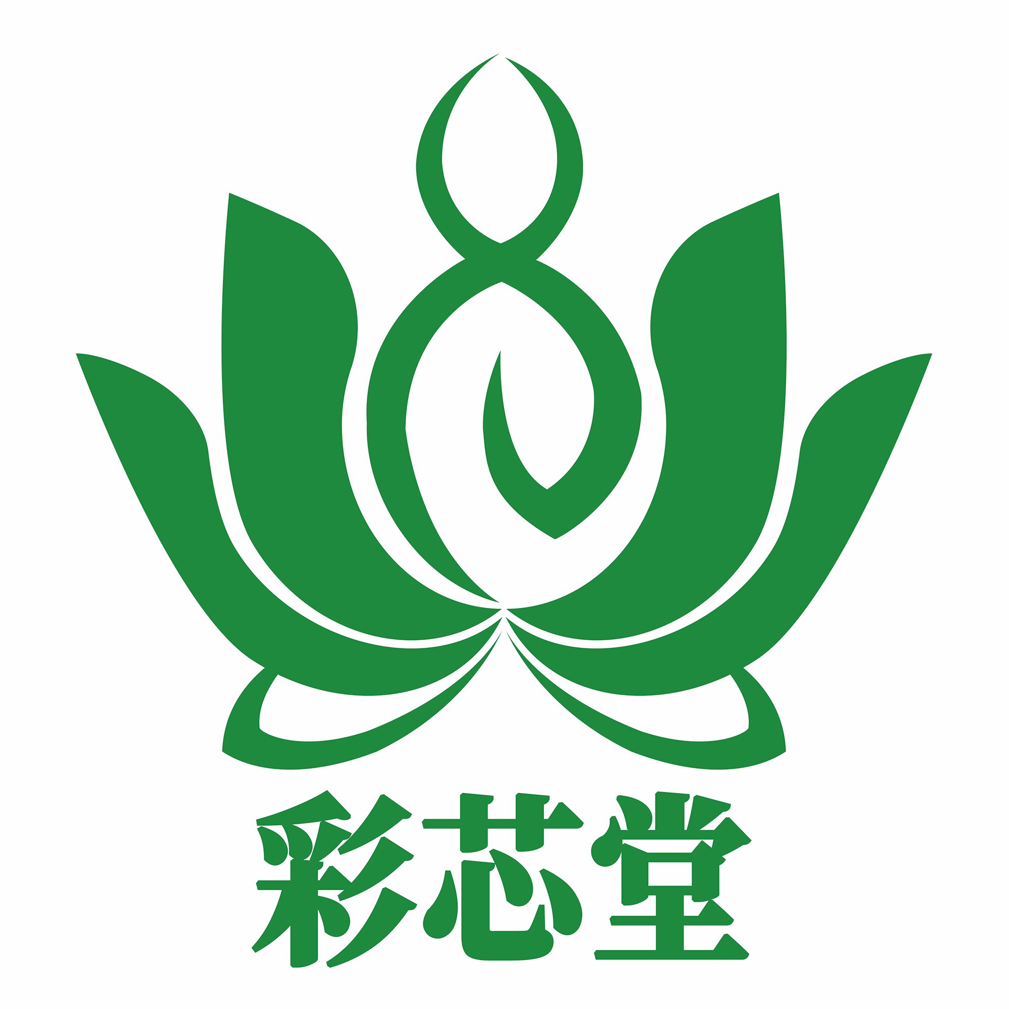 彩芯堂