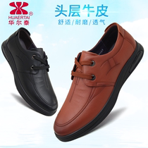 Walt Tai shoes Business leisure mens shoes soft sole soft sole breathable anti-slip old cow leather shoes