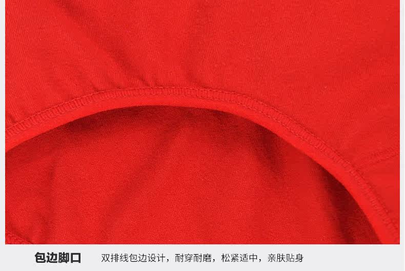 Slip jeunesse 9328-4 en coton - Ref 640977 Image 19