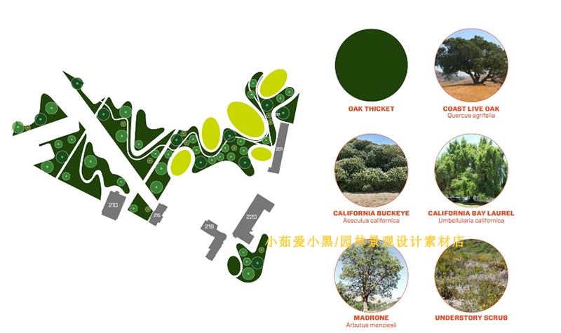 T1741规划绿地公园景观设计方案效果图排版设计出国留学参考-4
