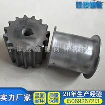 Source manufacturers flat top chain special double hinge sprocket Carbon steel gear Nylon gear wear-resistant sprocket high temperature resistance