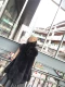 2018 thu đông mới giả lông cáo lông thú vest nữ dài phần thon gọn phiên bản Hàn Quốc của áo vest lông