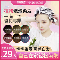 Bubble foam hair dye 2021 popular color white plant pure self-free at home color cream natural non-irritating