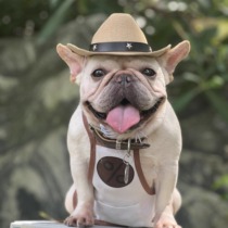 Pet Photo Accessory Hat Dog Cowboy Hat Dog Versatile Hat French Bulldog Schnauzer Golden Retriever
