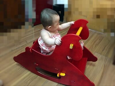 sebra baby walker