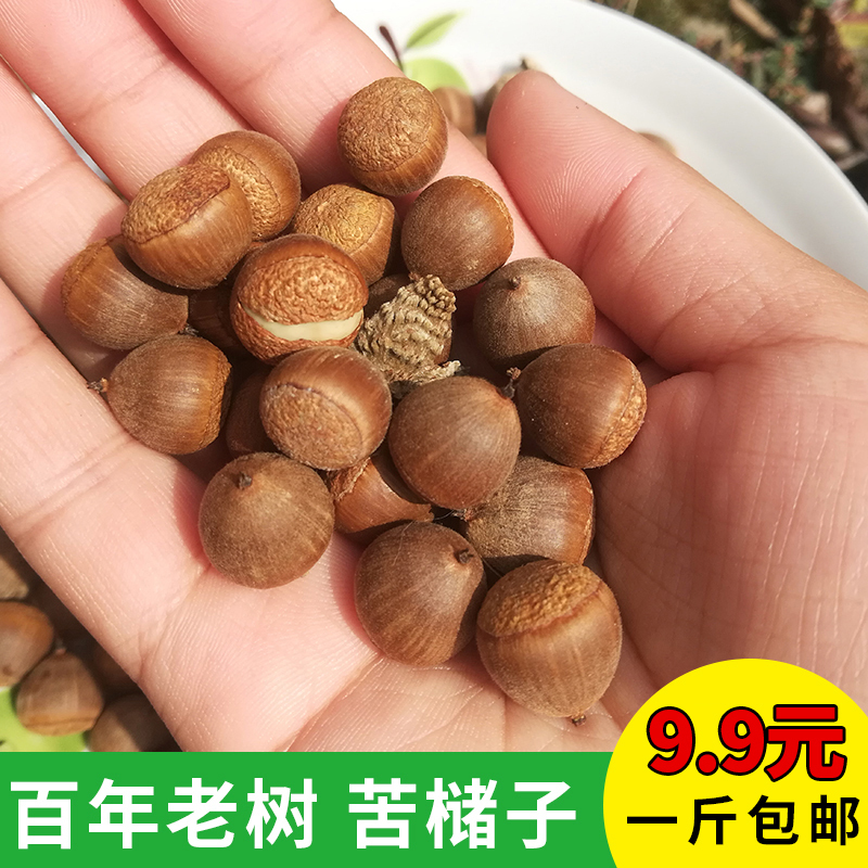 Purely Natural Wild Bitter Acorn from a Century-Old Tree, Used to Make Bitter Acorn Tofu