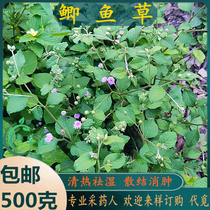 Freshly picked Chaoshan green grass salted shrimp flowers andzai grass paparazzi flowers leaf vernon chrysanthemum bees and twigs crucian carp grass