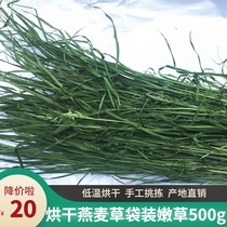 Oat grass drying fragrant green tender in Minxian County Gansu Province home Rabbit Hay guinea pig chinchillo snacks Pet Pasture