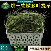 2021 drying Timothy Nen grass grass Gansu Guixiang 500g rabbit grass Minxian County North Titi grassland Hay North