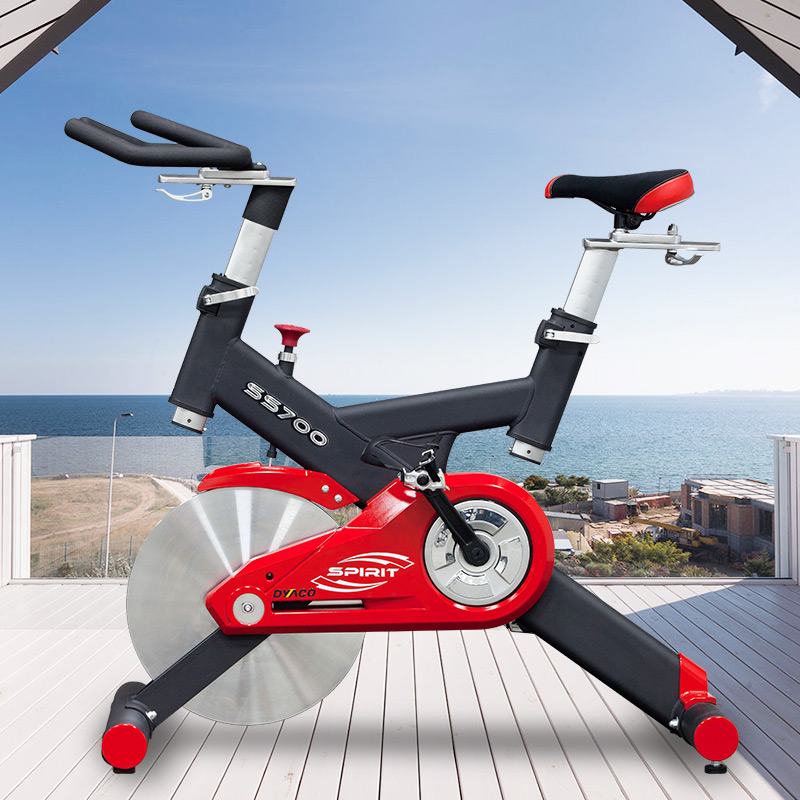 DYACO SS700 imported silent household fitness bike riding bicycle indoor fitness device