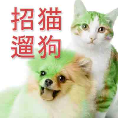 招猫遛狗宠物用品