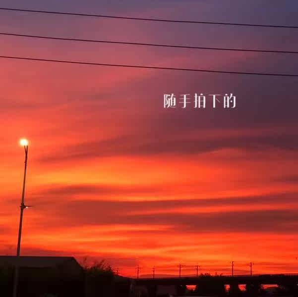 老街里的猫