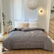 Washed cotton quilted winter quilted by spring autumn quilt core Four Seasons universal single double cotton quilted by summer air conditioning by summer cool quilt