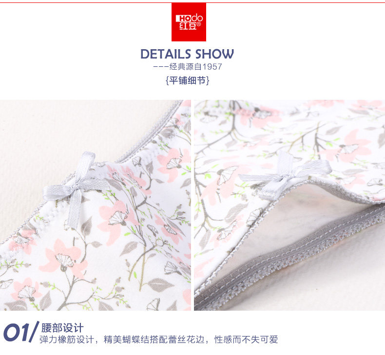 Slip jeunesse HODO DK148 en coton - Ref 666824 Image 8