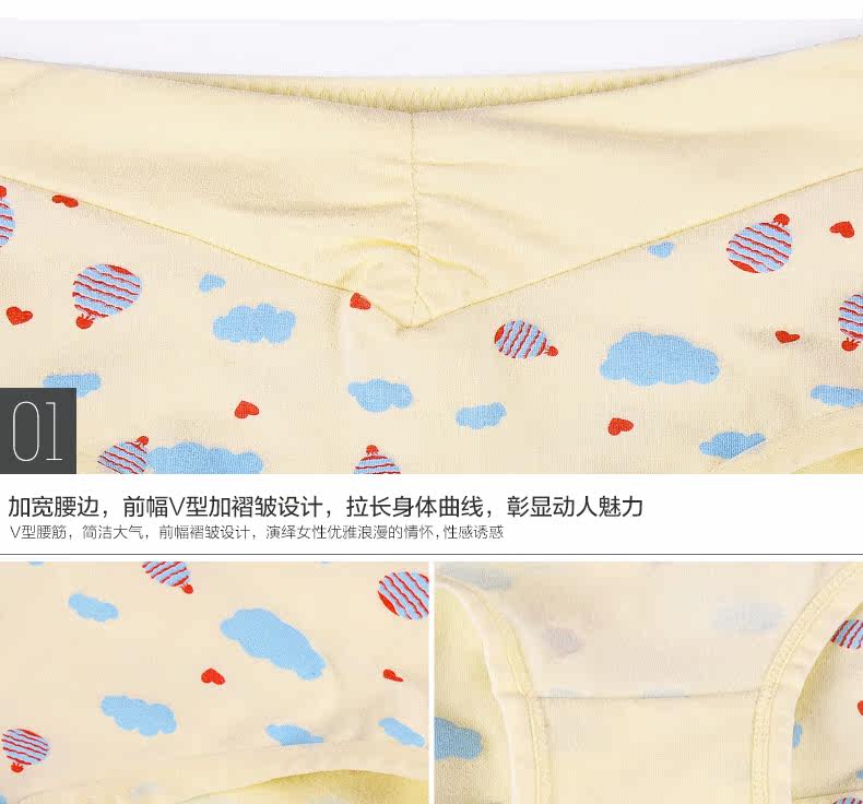 Slip Moyen-âge HODO HDBK502 en coton - Ref 666809 Image 62