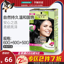 Watson Schwarzman Yiran Hair Dyeing Cream 2021 Popular Color Plant Ammonia-Free Hair Dyeing at Home