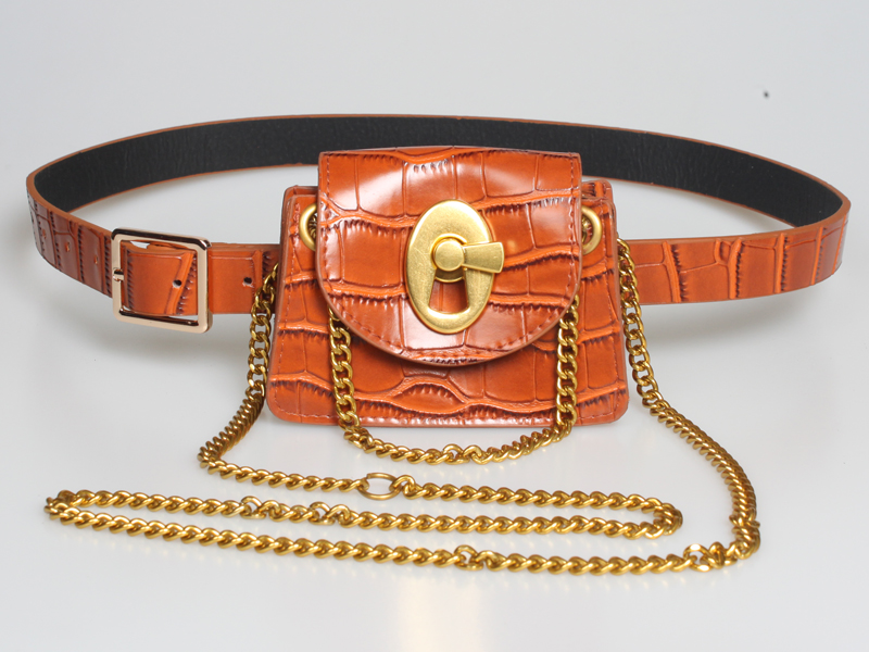 2020 Spring And Summer New Women's Cross-body Bag Multi-usage Personality Chain Small Bag Crocodile Vintage Chain Belt Waist Bag display picture 5