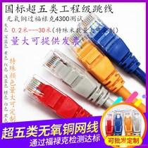 National standard over five types of oxygen-free copper non-shielded network jumper 1 1 5 2 3 5 10 meters over-tested finished Network cable