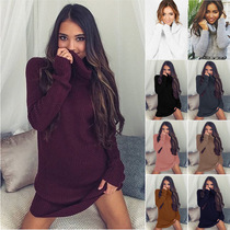 Women Winter knitted dress turtleneck long sWeater blouse