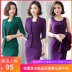 2020 Spring / Summer Suit váy nữ Vest ăn mặc hai mảnh Professional Mid-Sleeve lướt ol thân quần áo bảo hộ 