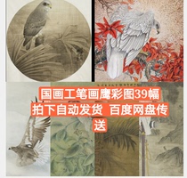 Chinese painting meticulous painting Eagle picture material electronic version of art painting