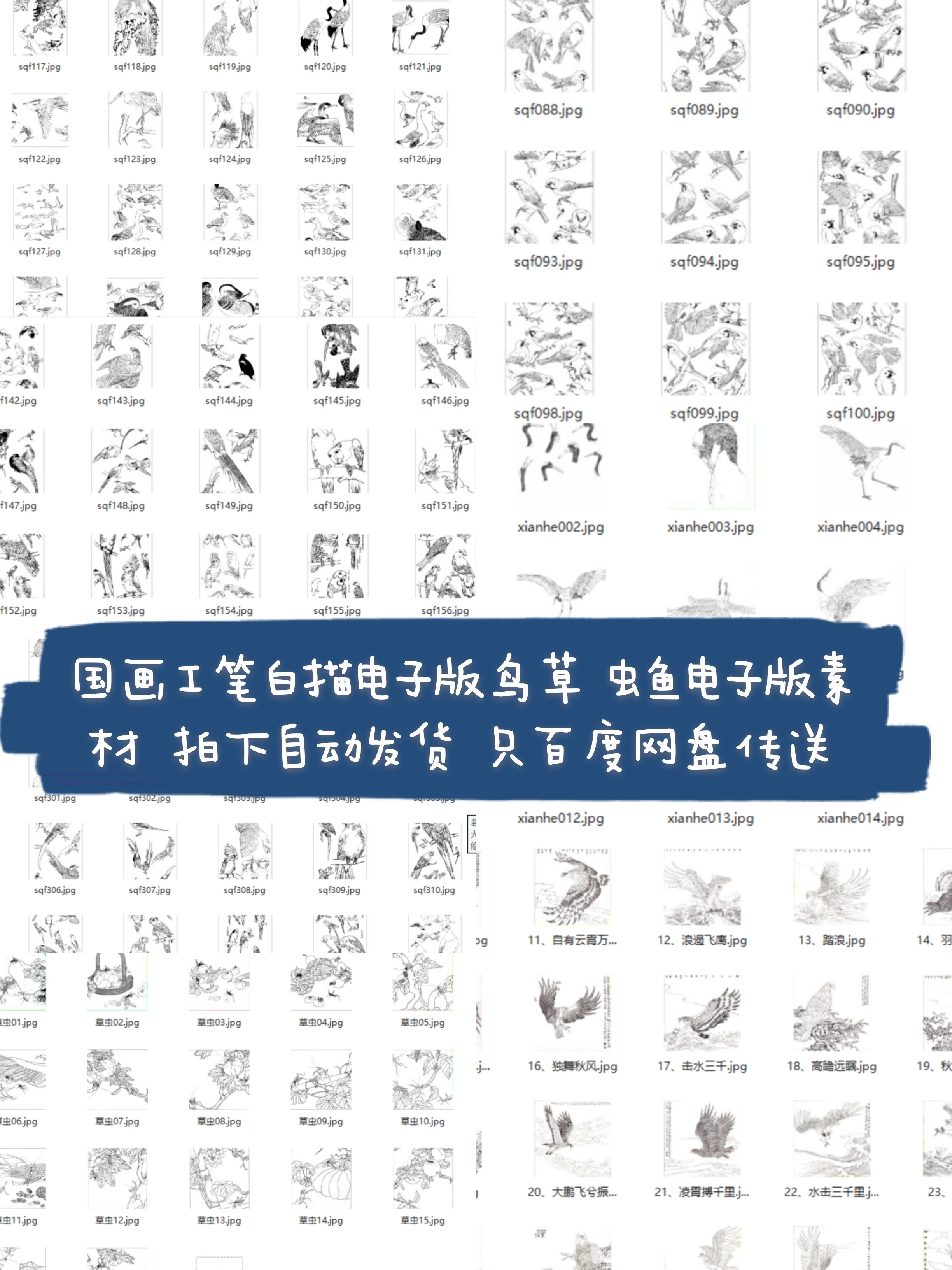 National Paintwork Pen White sketching Electronic material Line draft Bird Grass Fish Worm 784