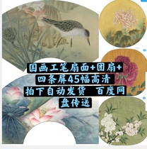 Chinese painting gongpen flower and bird fan group fan four screens 45 pieces of material HD