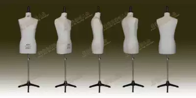 Factory GB175 92A Jianzhi male body upper body model national standard professional oblique black clip stand bench