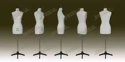 Manufacturer GB165 86A built intelligent female body upper body model national standard professional oblique black clip stand bench