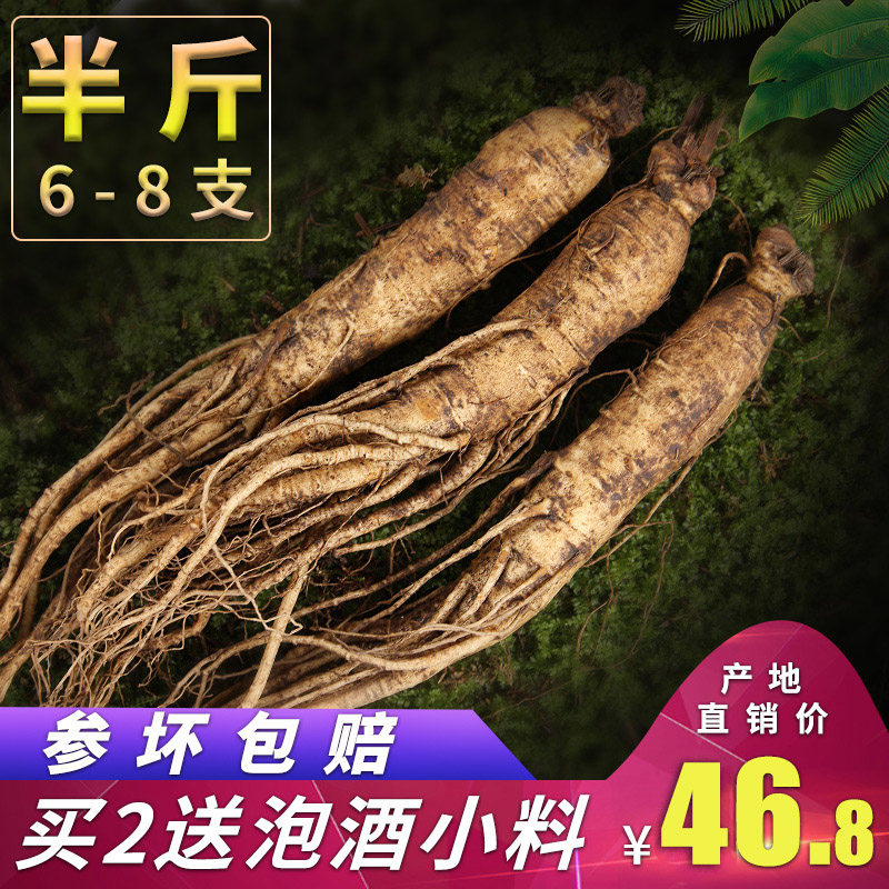 (Buy 2 500 gr) Changbai Mountain fresh ginseng fresh with native ginseng wild mountain ginseng fresh forest with fresh ginseng