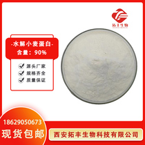 Hydrolyzed wheat protein 90% Hydrolyzed wheat protein Wheat oligopeptide Wheat protein 1kg bag