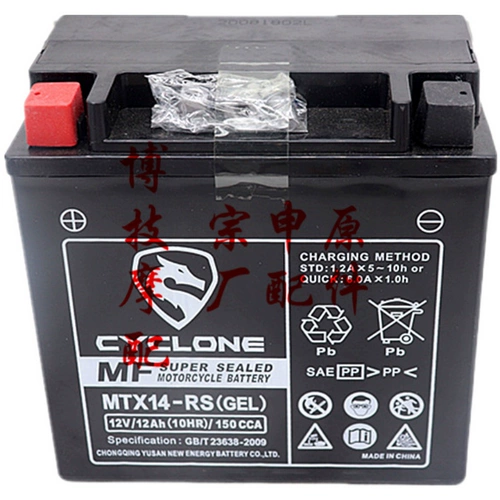 宗申 Sacon Series RX3S RX1 RX4 RZ3S RG3 RG3 RG3 RE3RT3 Оригинальная батарея аккумулятора