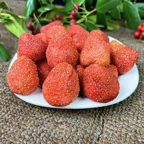Freeze-dried Strawberry Dried Whole Strawberry Dried 500g Snowflake Crisp Special Baking Raw Material Milk Strawberry Crisp Bulk Fruit