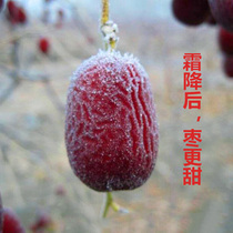 2021 new Xinjiang gray jujube Ruoqiang first-class Xinjiang red jujube specialty Aksu non-belt soil gray jujube 2500g
